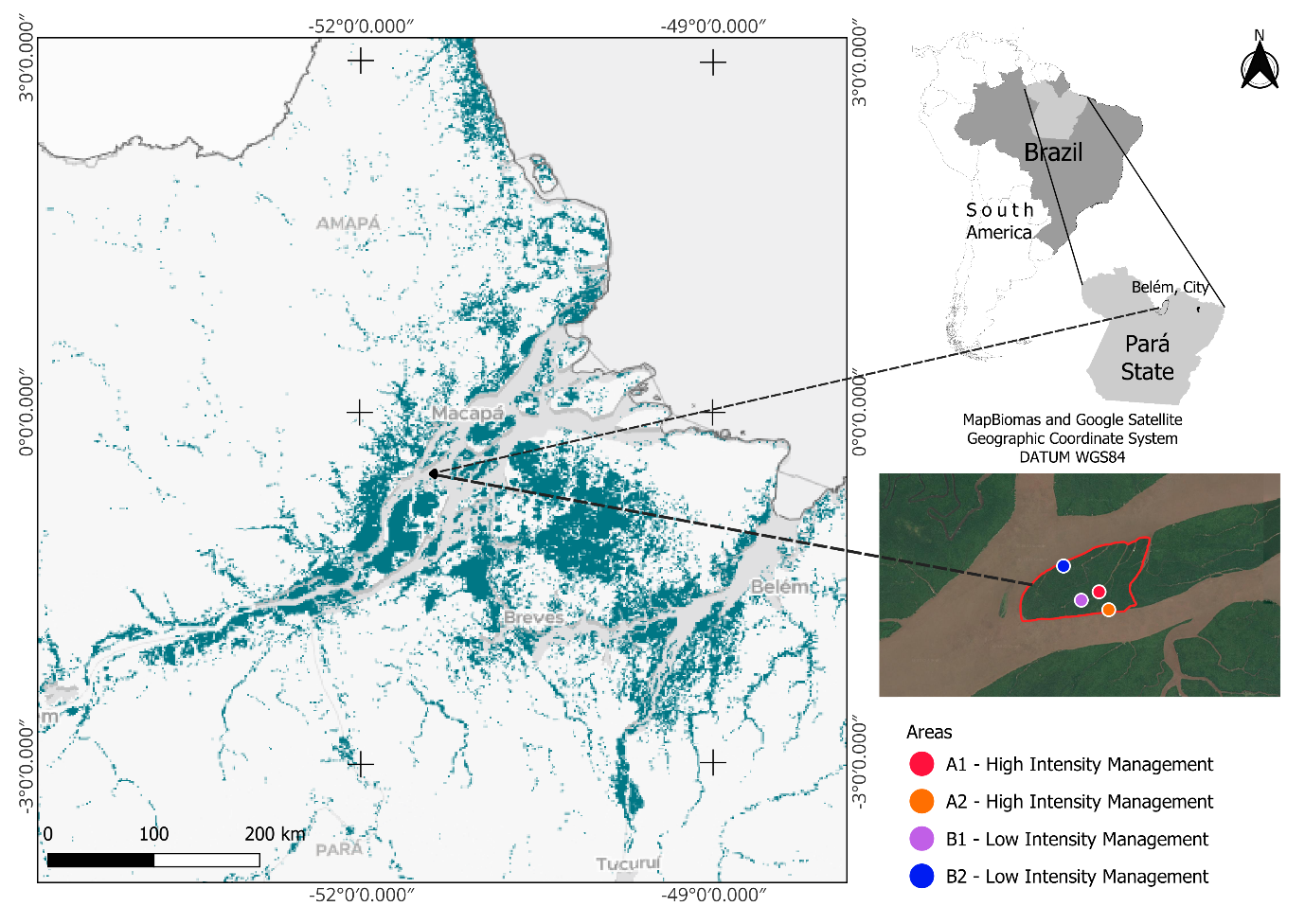 Figure 1: Location of the study area across four spatial scales. Brazil within South America, with the state of Pará. Pará state, indicating its capital, Belém; The Amazon River estuary within the Marajó Archipelago region, depicting the distribution of floodplain forests; and Ilha das Cinzas, with the study’s sampling areas marked in the legend.