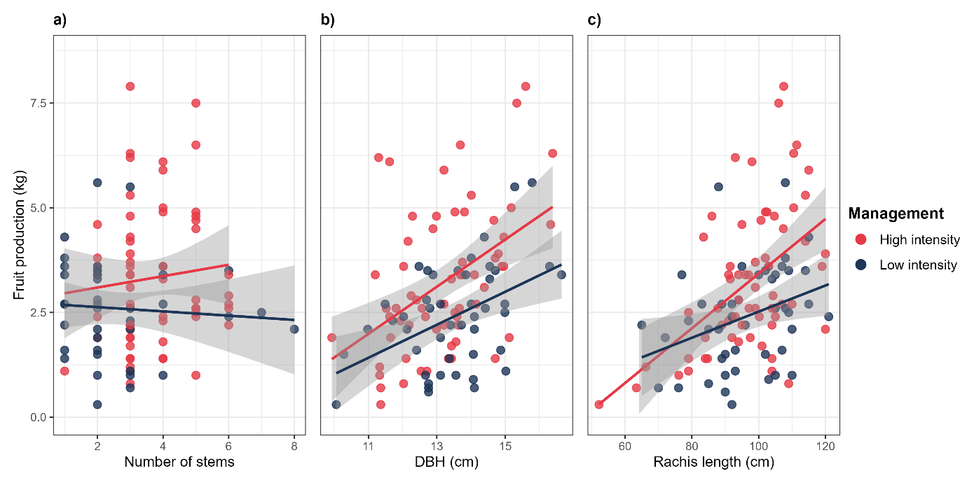 Figure 7: Drivers of açaí fruit yield: modelling key structural predictors. Relationships between fruit production and structural traits of açaí clumps across four management areas (n = 80 clumps, 20 per area). Panels show predictions from three separate linear mixed-effects models (with 95% confidence bands), each evaluating a single fixed effect while controlling for random variation among areas: (a) stem number, (b) mean DBH, and (c) mean rachis length. All responses are plotted on a common yield axis (fruit production in kilograms) to allow direct comparison of effect sizes.