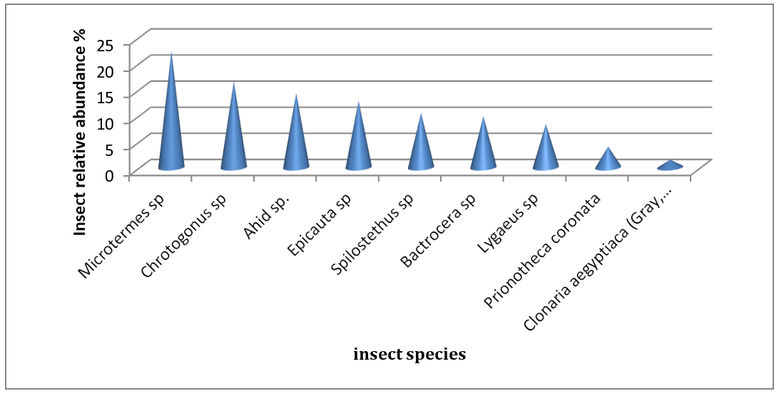 Figure 3: The relative abundance rank or Wittker plotused to rank the obtained species according to the log value of  their  representative  numbers  and  the results are shown in Table 3 and Figure 4. The figure shows that the sespecies are arranged in descending order as follows: decreasing order of Microtermes sp >Chrotogonus sp > Ahid sp >Epicauta sp >Spilostethus sp>Bactrocera sp>Lygaeus sp>Prionotheca coronata>Clonaria aegyptiaca.