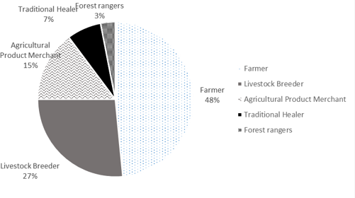 Figure 2: Distribution of respondents by socio-professional category