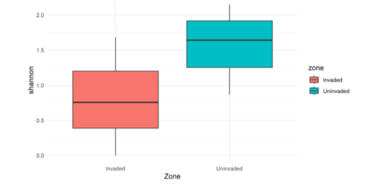Figure 5: Shannon diversity between invaded and uninvaded areas.