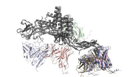 Figure 2: Superposition of 5 AlphaFold predictions and PDB cryo-EM structure.
