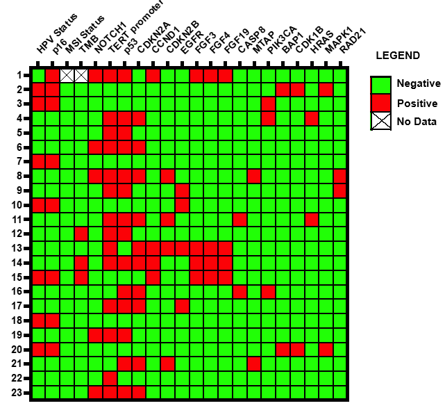 Figure 1: Heatmap representing presence and absence of HPV infection, p16 IHC and twenty genomic alterations in twenty- three analyzed cases of penile squamous cell carcinomas.