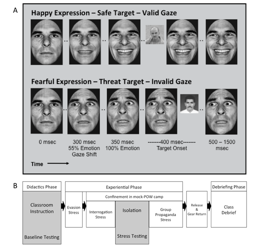 Figure 1: A: This Novel Variation on the Gaze Direction Cueing Task Uses Both Dynamic Expression and Gaze Shifts, as Well as an Emotionally Salient Target. The Expression Change is a Two-Stage Process that Lasts for 150 Msec and the Gaze Shift is a Single Step that Begins at the Same Time as the Expression Change. Total Trial Duration was 1500 Msec with a Random Inter- Trial Interval Between 1500-2000 msec. B: Order of Events at MARSOC Survival School. Testing Times are Highlighted in Grey.