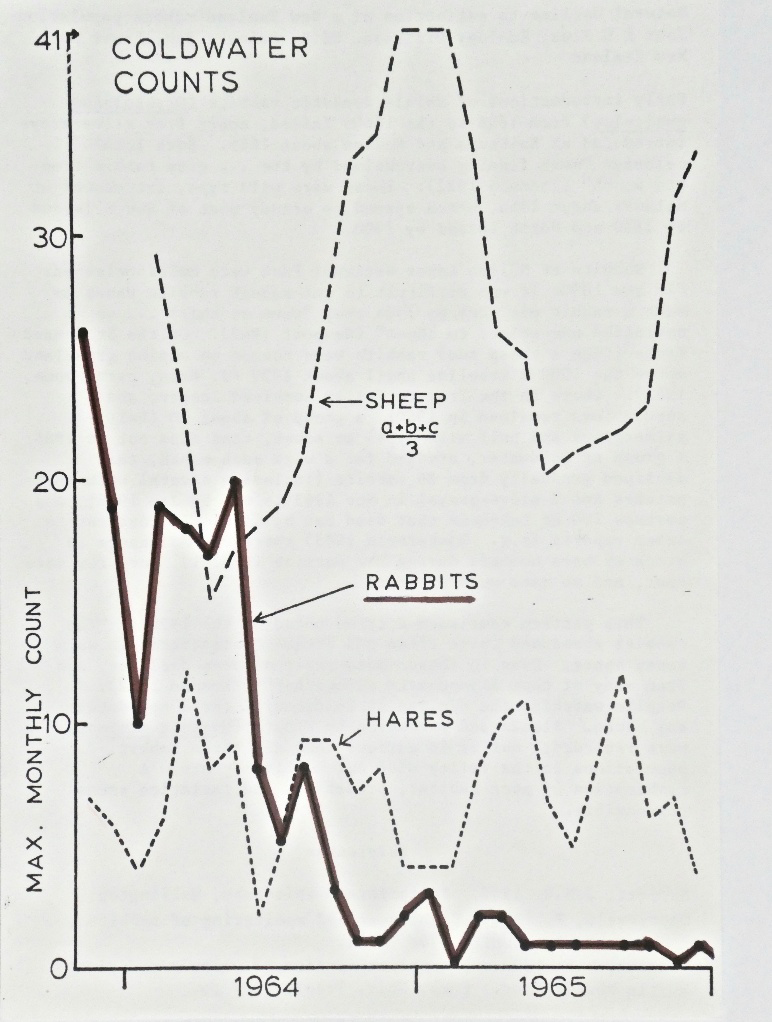 Figure 3: Graph of rabbit decline to extinction over two years. Hare and sheep continue grazing.