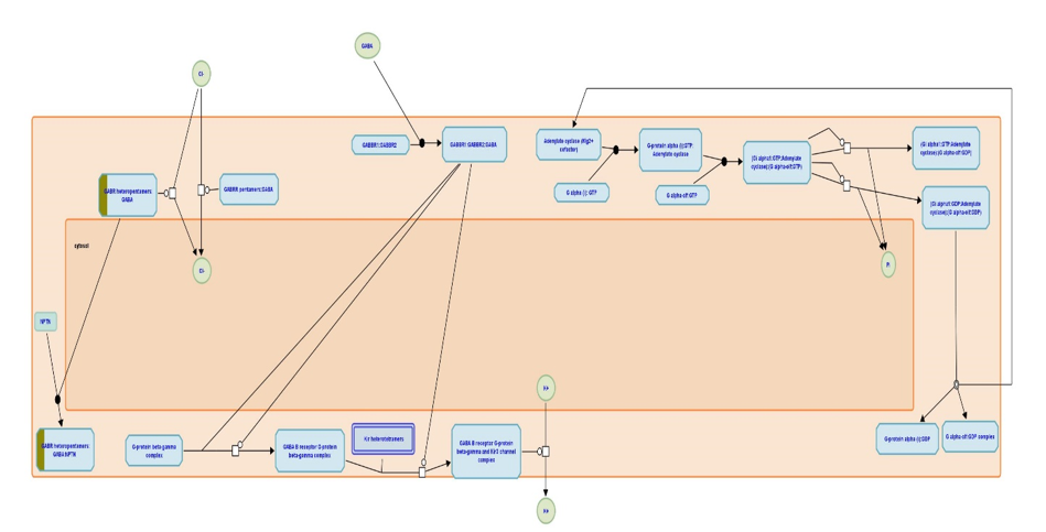 Figure 15: Pathway Analysis of common Proteins for anxiety.
