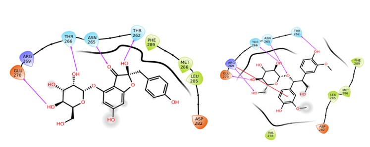 Figure 17: 2D interaction diagram of phytoconstituents with the selected target.