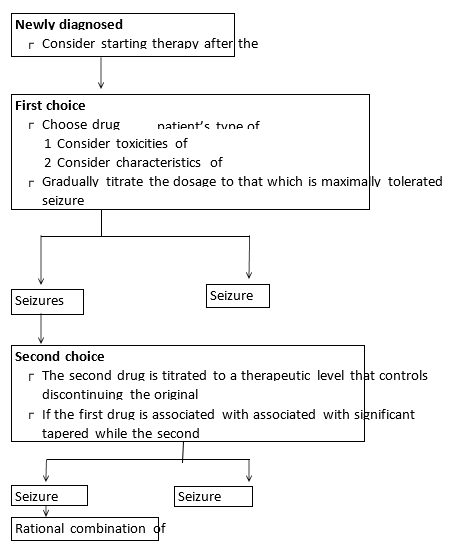 Figure 3: Therapeutic strategies for managing newly diagnosed epilepsy.