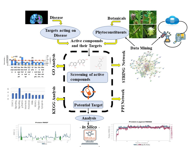 Figure 4: Pictorial Representation of Network Pharmacology.