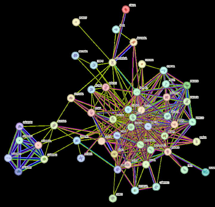 Figure 9: The protein-protein interaction of the common targets of Epilepsy.