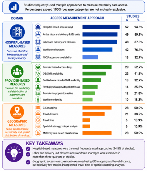 Figure 2: Frequency of Access Measurement Approaches Across Included Studies.