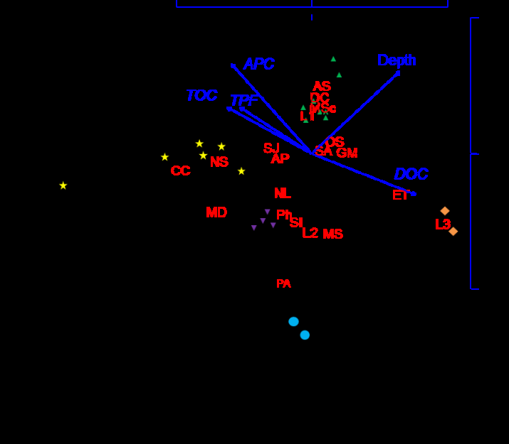Figure 8: Ordination of stations by CCA: A−D − clusters at figure 7, blue arrows − gradients of environmental factors (_p_≤0.05, Table 5).