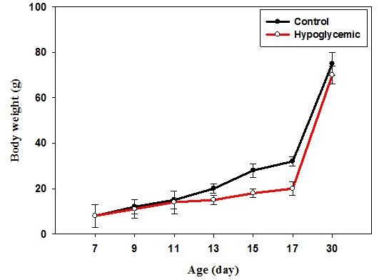 Figure 1: Body weight (g) of control and hypoglycemic groups. Values are mean ± S.E.M. of 4–6 separate experiments. Each group consists of 4–6 rats. In control rats, the blood glucose level from P7 to P17 varies significantly which is in accordance with the usual glucose level variation observed during the initial post natal period. In hypoglycemic group, the glucose concentration remained <40 mg/dL from P7 to P17 after insulin injection even though hypoglycemia was reached by P13 (Figure 2).