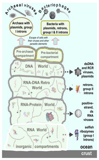 Figure 22