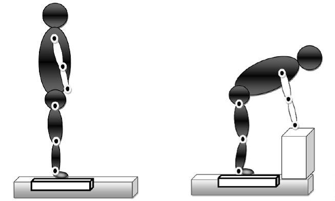 Figure 1: Task condition from starting to bend position The repetitive movements at two different speeds: 20 cycles/min and 40 cycles/min were included. Subjects were asked to reach targets synchronously with a metronome in order to establish the movement pace of 20 and 40 cycles/min similar to Granata, et al. experiment [6]. Based on this movement pace, we wanted the subject having 30 cycles per each trial, so the slow and fast pace trials lasted 90 and 45 second in duration, respectively [16]. The subjects were allowed several practice trials prior to the main trial to get familiar with the task pace and order. In order to prevent fatigue effects, at least a 3 min rest period between each trial was allowed.