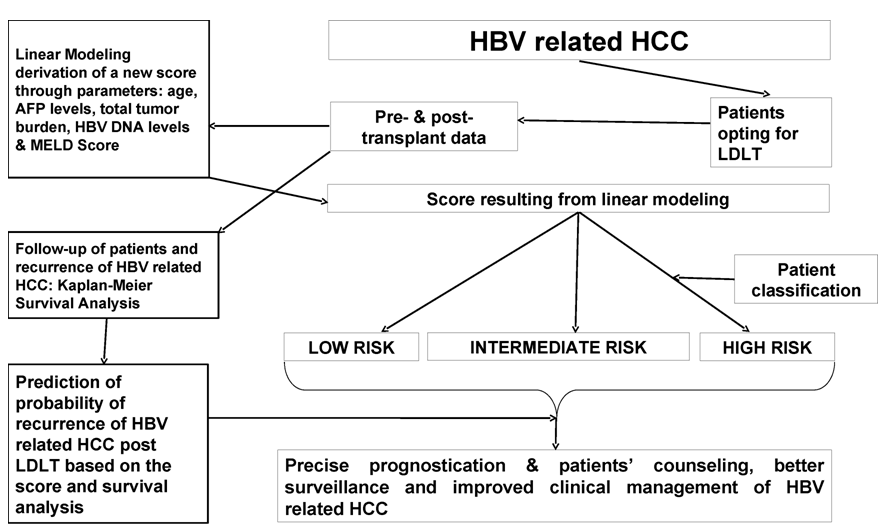 Figure 2: A novel algorithm for predicting post-transplant tumor recurrence in HBV related HCC.