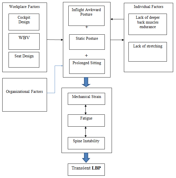Figure 4: A pathomechanical model of low back pain in helicopter pilots.