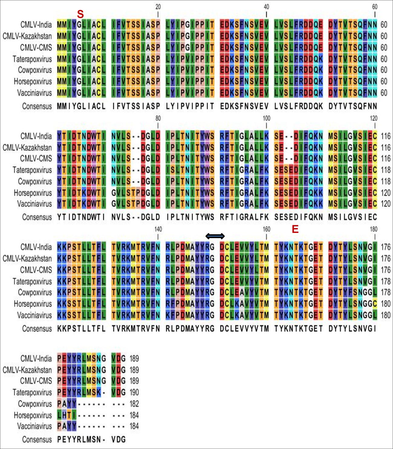 Figure 3: The open reading frame of the 201R gene of CMLV obtained from India was 570 bp in length, encoding 189 amino acids. Nucleotide and deduced amino acid residue sequence homologies of 201R gene of CMLV obtained from India and the other orthopoxviruses (complete sequences available) are shown in Table 3. Sequence analysis of 201R revealed that Indian CMLV shared 100% sequence identity both at the DNA and protein level with CMLV-Iran as well as with CMLV- Kazakhstan. This was further confirmed by phylogenetic analysis (Figure 4). The functional domain found in all the seven orthopoxviral proteins analysed is DUF 1406 (Pfam id: PF07190.6).