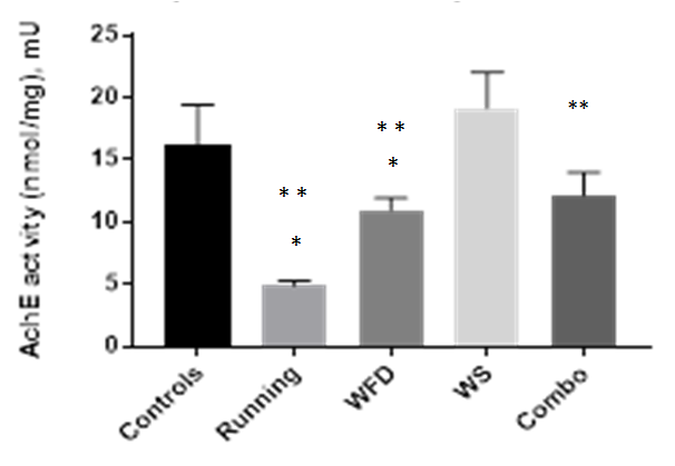Figure 3: Acetylcholinesterase activity analysis. Statistically significant effect of treatment on enzyme activity within frontal cortices of aged rats was detected by one-way ANOVA and post-hoc (F(4,39) = 7.329, p < 0.0001). * marks significant difference from controls; **, from WS treatment. mean ± SEM in mU: controls, 16 ± 3 (n = 8); running, 4.915 ± 0.359 (n=10); WFD, 10.978 ± 0.9522 (n=8); WS, 19 ± 2.8 (n = 9); combo, 12.155 ± 1.83629 (n =9). Running exercise markedly decreased AchE activity from baseline control level (p < 0.0001). Combo (p = 0.02), running (p < 0.0001) and WFD (p = 0.009) levels of AchE were significantly lower than that of WS-treated group.
