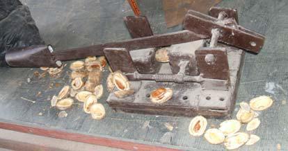 Figure 4: Bush mango cracker. (Source: Ogunsina et al. 2008) [5]