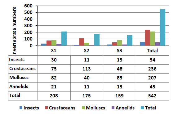 Figure 2: Distribution of the benthic fauna collected species by classes.