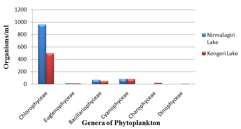 Figure 3: Microphotographs of Phytoplankton in Nirmalagiri Lake and Kengeri Lake Water November (2017). X 40. The distribution of species indicates that Nirmalgiri lake has the highest number of phytoplankton having 1110 organisms/ml while the Kengeri lake has 628 organisms/ml. The algae were expressed as organisms per ml for the purpose of calculating diversity indices. A total of 37 algal species belonging to six groups namely _Cholrophyceae,_ _Euglenophyceae,_ _Bacillariophyceae,_ _Cyanophyceae, Charophyceae_ and _Dinophyceae_ were recorded. The most dominating _Chlorophyceae_ group in both the lakes consisted of species _like Pediastrum_ _simplex, Elakatothrix sp., Volvox sp., Selenastrum sp._ _Phytoconis sp., Pleurotaenium sp._ Similarly the most dominating Euglenophyceae groups in both the lakes consisted of _Phacus sp_., among Bacillariophyceae the most dominating species are _Diatoms sp._ and among Cyanophyceae most dominating species are _Merismopedia_ _sp._, and _Anabaenopsis circularis._ In the present study the species of Euglenophyceae and Dinophyceae were poorly represented when compared to other groups of the study. The occurrence of _Euglenophyceae_ and _Dinophyceae_ were inversely related to Chlorophyceae. _Chlorophyceae_ was the most dominating group in Nirmalagiri lake with 956 organisms/ml with percentage composition of 86.12 while in Kengeri Lake it was 493 organisms/ml with a percentage composition of 76.55. Charophyceae and Dinophyceae were absent in Nirmalagiri Lake and in Kengeri Lake. Charophyceae and Dinophyceae consisted of about 2.32% and 0.15% respectively. In Nirmalagiri Lake among 29 species of phytoplankton 22 belonged to Chlorophyceae, 1 belonged to Euglenophyceae, 2 belonged to Bacillariophyceae, 4 belonged to Cyanophyceae. During the present investigation, the percentage abundance of phytoplankton in November, 2017 were _Chlorophyceae_ (86.12%), _Euglenophyceae_ (0.90%), _Bacilllariophyceae_ (5.85%), and _Cyanophyceae_ (7.11%). In Kengeri Lake 34 species of phytoplankton 24 belonged to _Cholrophyceae_, 1 belonged to _Euglenophyceae_, 2 belonged to _Bacillariophyceae_, 5 belonged to _Cyanophyceae_, 1 belonged to _Charophyceae_, 1 belonged to _Dinophyceae_. During the present investigation the percentage abundance of phytoplankton in November, 2017 was _Chlorophyceae_ (76.55%), _Euglenophyceae_ (1.24%), _Bacillariophyceae_ (7.14%), _Cyanophyceae_ (12.57%), _Charophyceae_(2.32%), and _Dinophyceae_ (0.15%). Graph 1 and Graph 2 show the percentage composition of phytoplankton species in Nirmalagiri Lake and Kengeri Lake respectively. Graph 3 represents the comparative abundance of phytoplankton in Nirmalagiri Lake and Kengeri Lake.