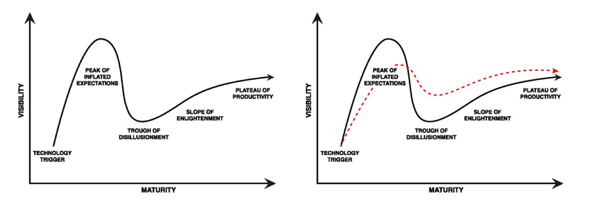 Figure 12: Hype Cycle graph, Gartner Inc.