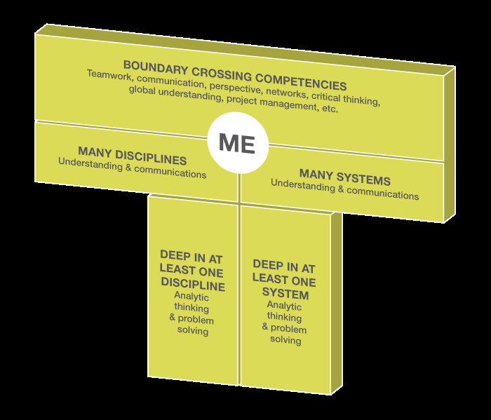 Figure 1: T-shaped skills.