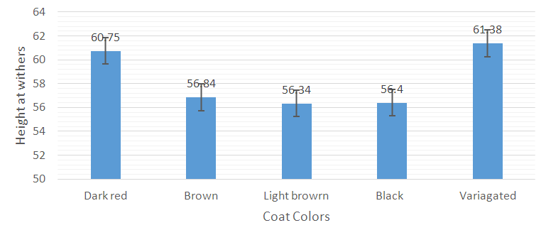 Figure 3: Height at withers (HW) (cm) of the five (5) coat colors of red Sokoto goat ecotypes.