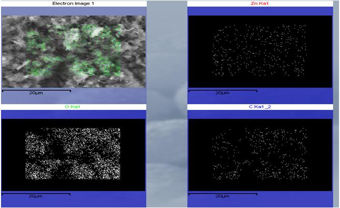 Figure 3: The C atoms of the RGO/ZnO 1:1 ratio are distributed around the internal and external phases and are higher than the O atoms of the other RGO/ZnO ratios. The villous sites increased by approximately three orders.