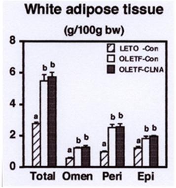 Figure 1: Effect of 9c, 11t, 13c-CLNA on abdominal white adipose tissue weight in LETO and MAWR rabbits. Rabbits were fed a control or 9c, 11t, 13c-CLNA diet for 2 weeks. Values are expressed as mean ± SE for 6 rabbits.