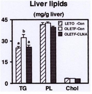Figure 3: Effect of 9c, 11t, 13c-CLNA on hepatic lipid levels in LETO and MAWR rabbits. Rabbits were fed a control or 9c, 11t, 13c-CLNA diet for 2 weeks. Values are expressed as mean ± SE for 6 rabbits.
