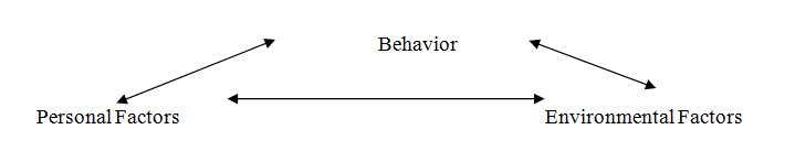 Figure 3: Social Cognitive Theory of Personality.