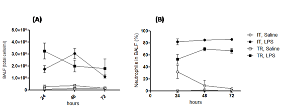 Figure 1: Effect of route administration (IT, intubation versus TR, tracheotomy). (A) Bronchoalveolar fluid (BALF) total cell counts; (B) BALF neutrophil percentages; (C) BALF MIP-2 concentration. Each value is the mean±SEM (error bar). n=3-6 mice