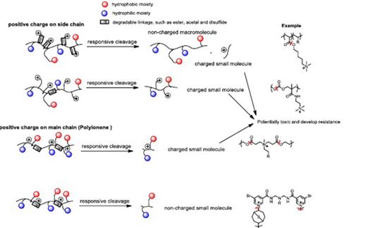 Figure 1: Classes of degradable polycations and their potential towards resistance development.