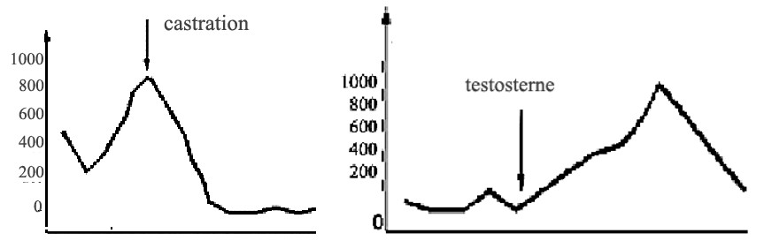 Figure 2: The impact of rats castration (A) and injection of male sex hormone – testosterone (µg/everyday) in the castrated rats (B) on animals aggressive behavior. The moment of castration and testosterone injection is shown by the arrows. As seen from the Figure 2, after castration the rats did not show any aggression towards mice and frogs, as well as murder cases were not observed. After the injection of male sex hormone - testosterone to castrated rats, the aggressive behavior towards mice and frogs have been again observed [1-12]. For prevention of aggressive behaviors, the rats have undergone to exhaustive swimming in water and after this they were tested on aggression and murder. The most interesting fact was revealed that killer rats became tolerant to frogs and mice and displayed neither aggressive, nor murder behavior [1-13]. Based on the above mentioned, the heads of schools are recommended to enhance physical loadings between the lessons in order to quantitatively reduce and neutralize the biologically active substances, including sex hormones. It is believed that this will undoubtedly establish healthy lifestyle among young people. Unfortunately, at the level of sex chromosomes of genetic apparatus, the genes of “war” and “murder” have been revealed. Based on the latest data, aggressive people and those having criminal behavior are divided into four groups [13,14]: 1. Young people with Klinefelter's syndrome having XXY sex chromosome. They are characterized by the undevelopment of testicular glands, are very tall, are distinguished by mental retardation, leading to their easily recruitment for criminal offense. 2. The young people with aberrant XYY or XXYY chromosomes are characterized by mental retardation, high growth, are distinguished by criminal behavior and aggression. 3. People with inherited disorders of the nervous system are distinguished by emotional-ethical degradation, epileptic fluency, dogmatism, schizoidism and disorders due to alcoholism. 4. ¼ of the twins developed from one ovum are inclined to commit a crime. Such children should be paid a special attention and be tested for the estimation of their behavior. Based on the above mentioned, all these data should be deeply studied and taken into account by school psychologists to have an opportunity to discuss the further behavioral reactions of the youth and their prevention. With the purpose of revealing aggressive organisms, the fractional composition of aggressive and control rats erythrocytes membrane proteins extracted by 0.1% detergent Triton X-100, were carried out electrophoretic study (Figure 3). As seen from Figure 3, a quantitative change in the fractions of aggressive and control membrane proteins has not been revealed, which indicates that the amount of lectin connecting receptors remains unchangeable [15].