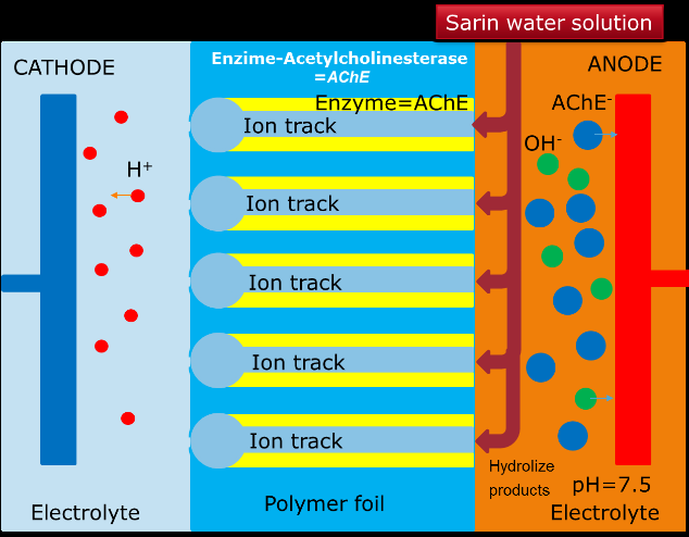 Figure 7: General model of developed sarin detection process on the ion track-containing foils embedded in electrolyte, following the proposed measurements strategy (see Figure 4)