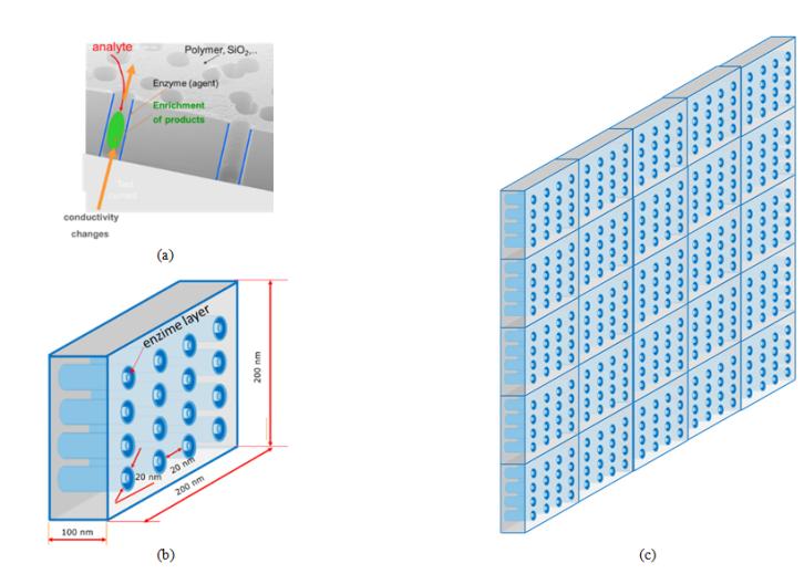 Figure 8: Sensing of chemical reaction products of an analyte with a specific enzyme via the track conductivity: a) nanotracks in the foil; b) model of nsnocell with nanotracks including to corresponding tested bio-agent; c) multi-agent testing nanocell matrix (5x5), where the matrix any cell element independently oriented on particular bio-agent. Every nanocell (Figures 2,4) has an independent electrical metrology scheme. Moreover, sensitive cells for particular agents can be distributed along the sensitive surface of multi-agents flux. All electrical responses corresponding to a particular agent accumulated digitally as calibrated medical data on the special integrated screen. In this way, we can instantly obtain the information about various agent concentrations in real-time. This multi-agent detector can be used as a device for the analysis of the human breath supplying a spectrum of medical information in a non-invasive way. This is very important for the evaluation of post effects of aggressive agents (e.g. CBRN).