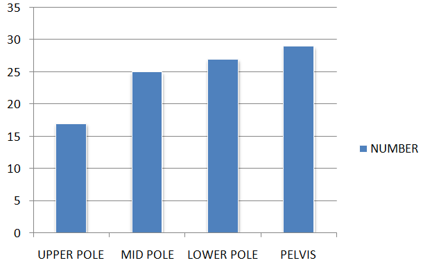 Figure 3: Stone size. The maximum stone size was 3.8 cm Stone size was measured with Ultrasound and NCCT KUB.