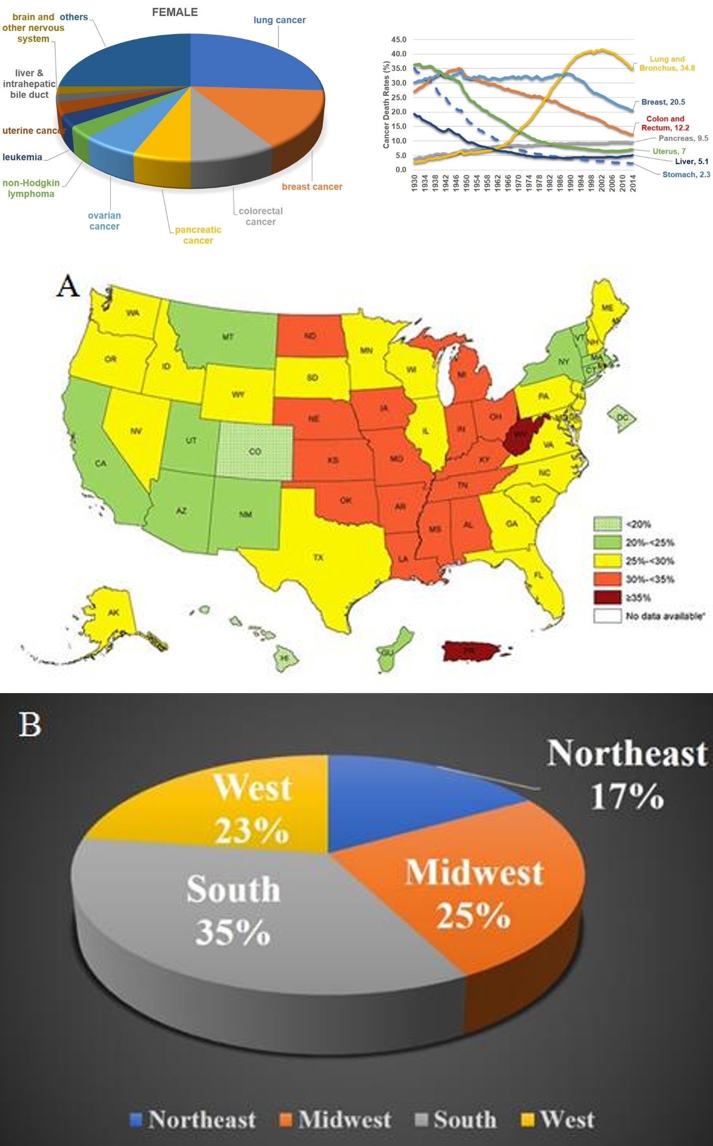 Figure 1: The overview of the proportional of different type of cancers in the female.
