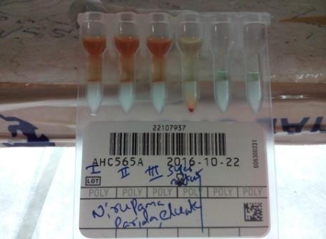 Figure 1: Cold-Acid elution result shows pan- agglutination.