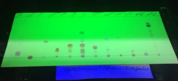 Figure 3: Developed plates under UV (cyclohexane: toluene: diethylamine).