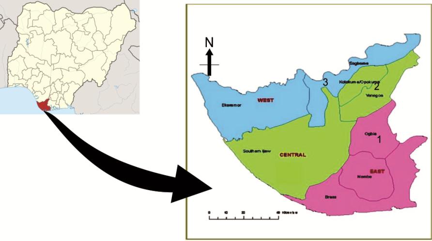 Figure 1: Map of Nigeria and Bayelsa State showing the locations of the Study area.