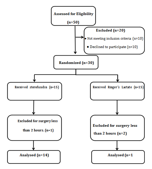 Figure 1: Consort Flow Diagram, with enrollment and outcome.