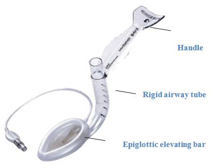 Figure 2: Intubating LMA (Fastrach).