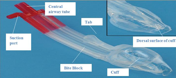 Figure 7: SLIPA.