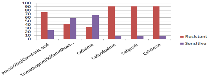 Figure 3: Pattern of Others Gram Negative Bacilli Resistant & Sensitive. Total Isolates: 90
