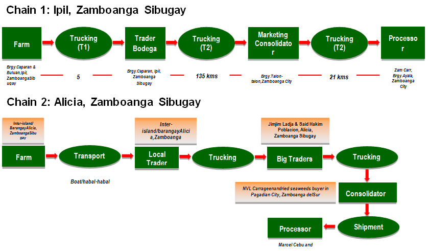 Figure 1: Supply Chains of seaweeds in Zamboanga Sibugay.