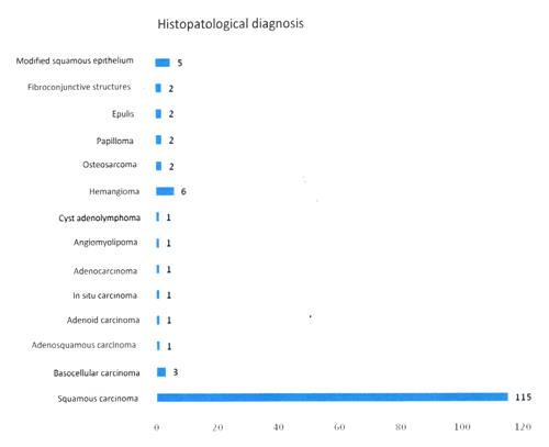 Figure 1: Histopathological diagnosis of studied tumors [3].