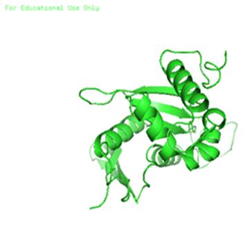 Figure 4: The predicted complex structure in PDB format of _Plasmodium falciparum_ 40SProtein S7 docked with 026MMV676269.